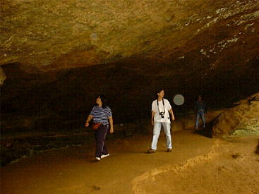 CATCAVE.JPG (19301 bytes)