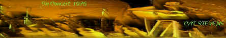 skin 3