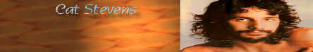 skin 4