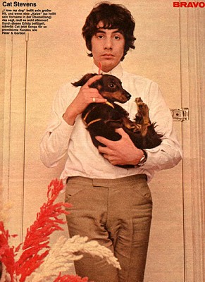Young Cat with dog
