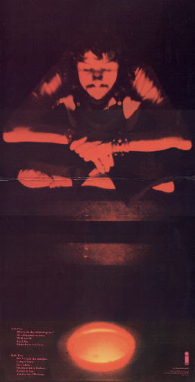 Tfttgate.jpg (16121 bytes)