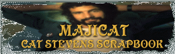 Majicat Logo