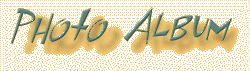 Photo Album Font